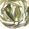 TeaSource White Tea<Among the Willows | White Tea
