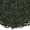 TeaSource Green Tea<Aurora Asanoka | Green Tea