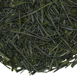 TeaSource Green Tea<Aurora Asanoka | Green Tea