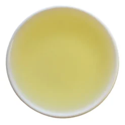 TeaSource Green Tea<Aurora Asanoka | Green Tea