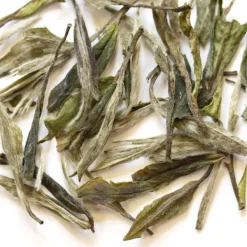TeaSource White Tea<Bamboo Forest Bai Mu Dan | White Tea