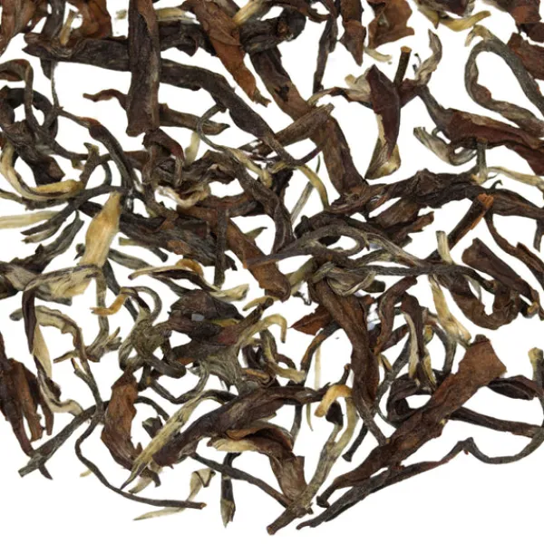 TeaSource Black Tea<Bonaparte's Nightjar Darjeeling 2nd Flush | Black Tea