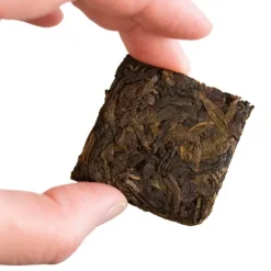 TeaSource Oolong Tea<Book of Spells Tieguanyin | Oolong Tea