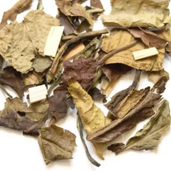 TeaSource White Tea<Candy Apple White | White Tea