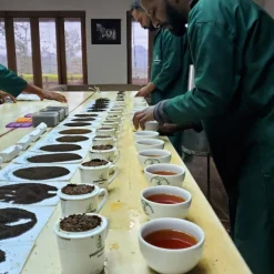 TeaSource Black Tea<Ceylon Peacock Feather | Black Tea