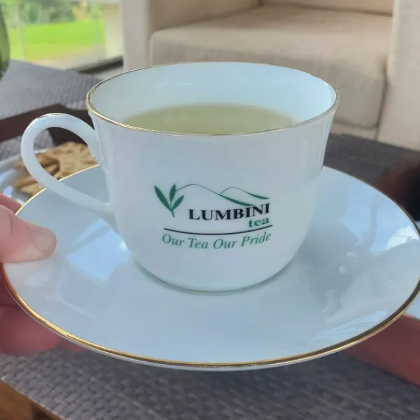 TeaSource Green Tea | Black Tea<Ceylon Rainforest Green Tea