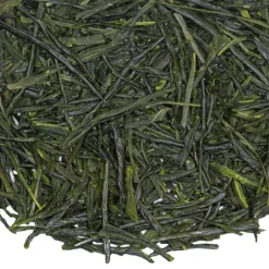 TeaSource Green Tea<Clearwater Sencha | Green Tea