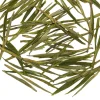 TeaSource Green Tea<Corn Maze | Green Tea