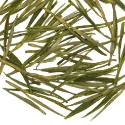 TeaSource Green Tea<Corn Maze | Green Tea