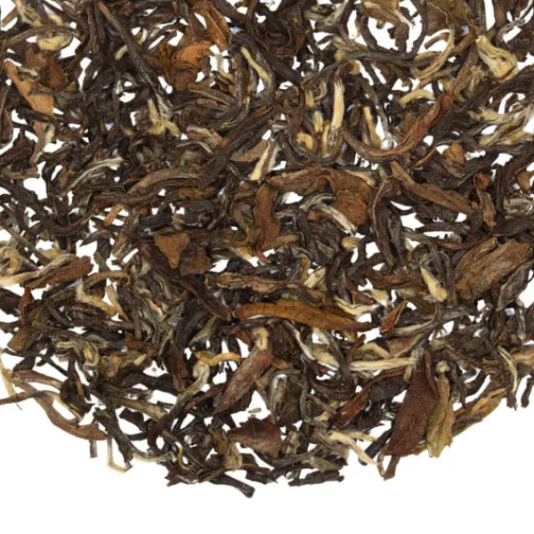 TeaSource Black Tea<Crested Kingfisher Darjeeling 2nd Flush | Black Tea