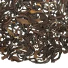 TeaSource Black Tea<Echo Parakeet Darjeeling 2nd Flush | Black Tea