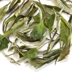 TeaSource White Tea<Fieldstone | White Tea
