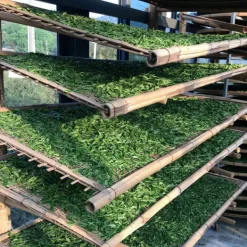 TeaSource White Tea<Fieldstone | White Tea