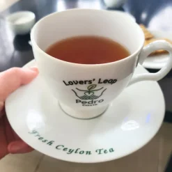 TeaSource Black Tea<Foggy Mountain Ceylon | Black Tea