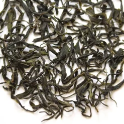 TeaSource Green Tea<Four Seasons | Green Tea