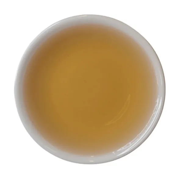 TeaSource Dark Tea<Fu Cha | Dark Tea Brick