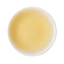 TeaSource Oolong Tea<Gui Fei | Oolong Tea