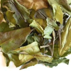 TeaSource White Tea<Harvest Moon | White Tea