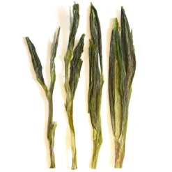 TeaSource Green Tea<Jade Pillar | Green Tea