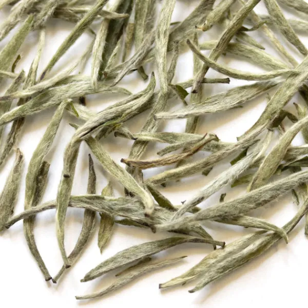 TeaSource White Tea<Lake Echo Silver Needles | White Tea