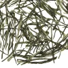 TeaSource Green Tea<Magic Wand | Green Tea