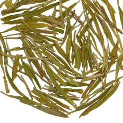 TeaSource Green Tea<Magnetic North | Green Tea
