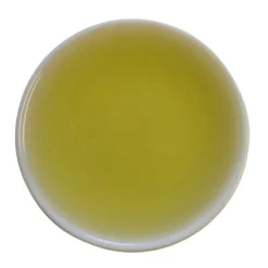 TeaSource Green Tea<Meadowland Sencha | Green Tea