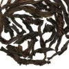 TeaSource Oolong Tea<Ruby Rock Tea | Oolong Tea