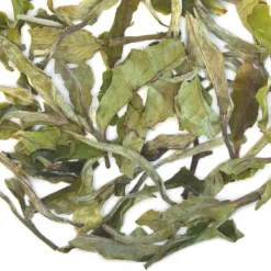 TeaSource White Tea<Snapdragon | White Tea