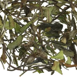 TeaSource White Tea<Spring Chicken | White Tea