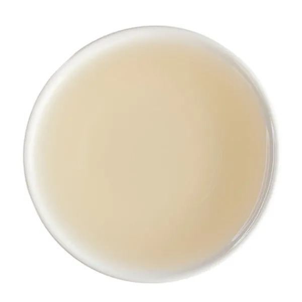TeaSource White Tea<Sundial Silver Needles | White Tea