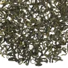 TeaSource Green Tea<Sycamore Grove | Green Tea