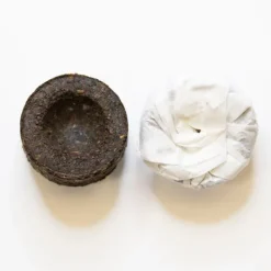 TeaSource Puer Tea<Tiny Bird's Nest Ripe (Shu) Puer