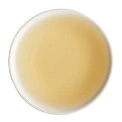 TeaSource White Tea<Trail Rider | White Tea