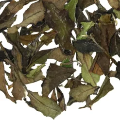 TeaSource White Tea<Untamed Elements | White Tea