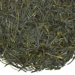 TeaSource Green Tea<Waterlily Sencha | Green Tea