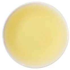TeaSource Green Tea<Waterlily Sencha | Green Tea