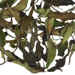 TeaSource White Tea<Whispering Cave | White Tea