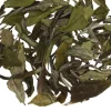 TeaSource White Tea<White Lightning | White Tea