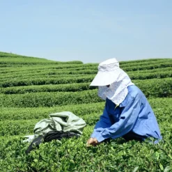 TeaSource White Tea<Wildflower White Tea