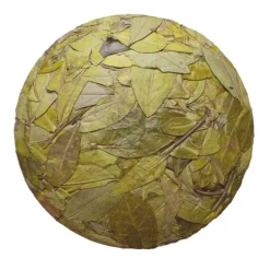 TeaSource White Tea<2020 Winter White Tea Cake
